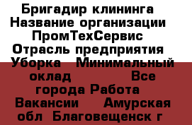 Бригадир клининга › Название организации ­ ПромТехСервис › Отрасль предприятия ­ Уборка › Минимальный оклад ­ 30 000 - Все города Работа » Вакансии   . Амурская обл.,Благовещенск г.